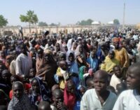The food is good… we are not in haste to return home, say IDPs
