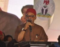 Ngige: Don’t blame FG for health workers strike