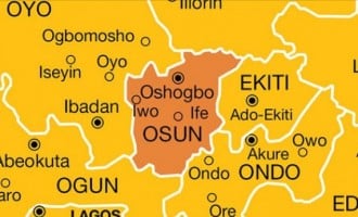 APC makes clean sweep of Osun LG polls
