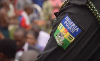 Reps probe promotion of some police officers