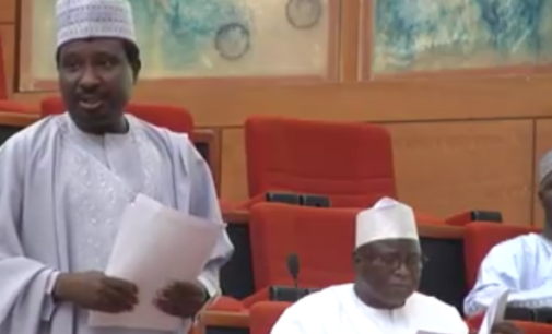 It’s all lies… customs didn’t seize any vehicle from me, says Barau, Kano senator