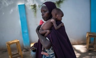 ’10 percent of Nigerians infertile’ — group canvasses use of reproductive technology