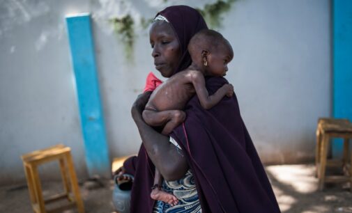 Malnutrition ‘kills 240 displaced children’ in Borno