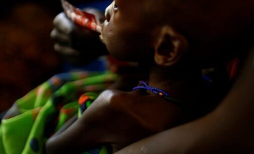 Child malnutrition as a catalyst to insecurity