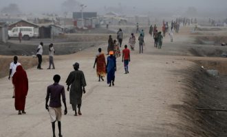 264m children worldwide not in school, says UNESCO