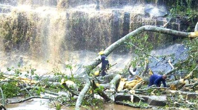 Tree crushes 18 to death at Ghana waterfall