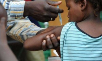 Current meningitis outbreak worst in 8 years – 211 people killed so far