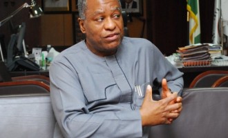 Reps summon Onyeama, Dabiri-Erewa over killing of Nigerians in South Africa