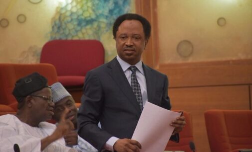 We can’t trace companies awarded contracts under PINE, says Shehu Sani