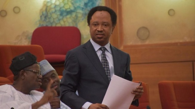 Shehu Sani: Senators can’t confront Buhari on killings because they want to be re-elected