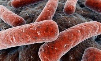 Scientists develop non-antibiotic drug for tuberculosis