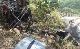 Father, son killed in Zimbabwe plane crash