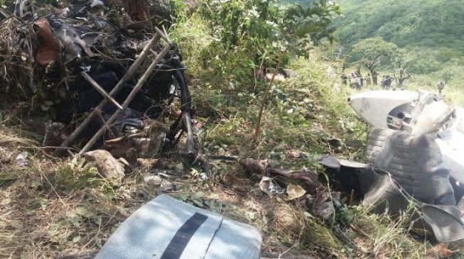 Father, son killed in Zimbabwe plane crash