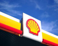 Shell kicks as Amnesty calls for its probe over ‘horrific crimes’ in Ogoni