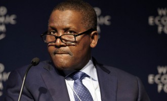Dangote to invest $4.6bn in agriculture in five years