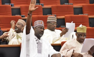 The shame of a diminished senate