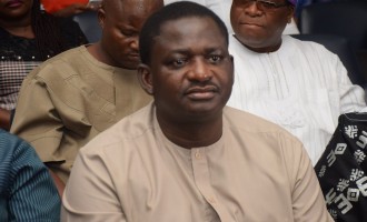 Rep demands apology from Femi Adesina, asks him to stop blaming Jonathan