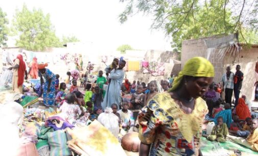 How Boko Haram survivors are rebuilding their lives in Borno town