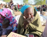 Over five million Boko Haram victims need food assistance, says UN