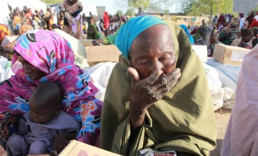 Over five million Boko Haram victims need food assistance, says UN