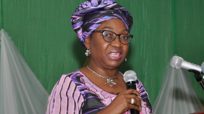 Oyo-Ita, Dambazau, Malami appear before house of reps committee