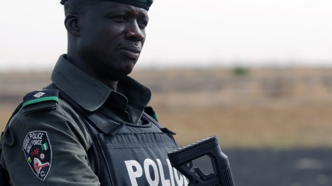 Our friend, the police