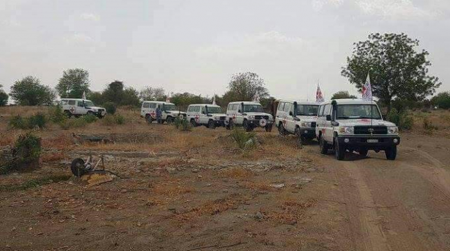 Chibok girls: We weren’t involved in negotiation, says Red Cross