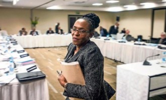 Zuma appoints first female head of South Africa’s court of appeal