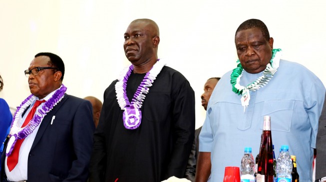 Iwuanyanwu: Igbo have invested more in Nigeria  than any other ethnic group