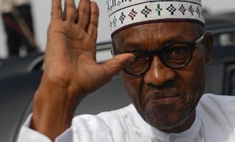 Judiciary ‘resisted attempts to stop Buhari from contesting 2015 election’