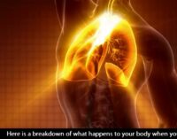 Watch what happens to your body when you fast
