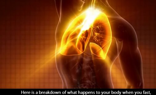 Watch what happens to your body when you fast