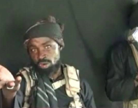 ‘You can’t do anything’ — Shekau taunts military in new video
