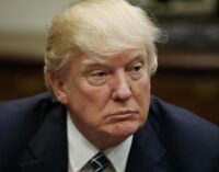 COVID-19: Trump to suspend immigration into US