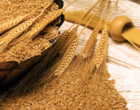 Eat Me: Five reasons to include wheat in your diet