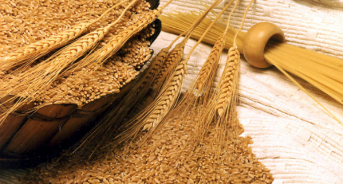 Russia-Ukraine war: Stakeholders ask FG to remove 15% levy on imported wheat