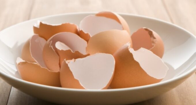 This is why you should start eating your eggshells