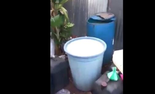 Fake palm wine factory discovered in Anambra
