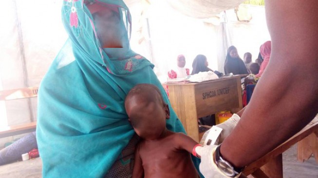 ALERT: 990 children ‘risk dying from malnutrition’ in Borno IDP camp
