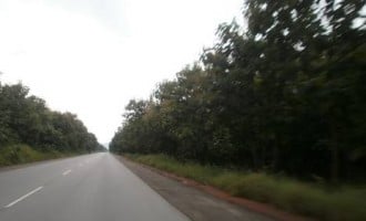 Woman killed, 7 injured as vehicle veers into forest along Jos-Abuja road