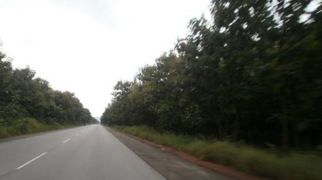 Woman killed, 7 injured as vehicle veers into forest along Jos-Abuja road