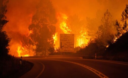Deadly wildfire kills 64 in Portugal (updated)