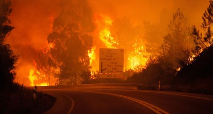 Deadly wildfire kills 64 in Portugal (updated)