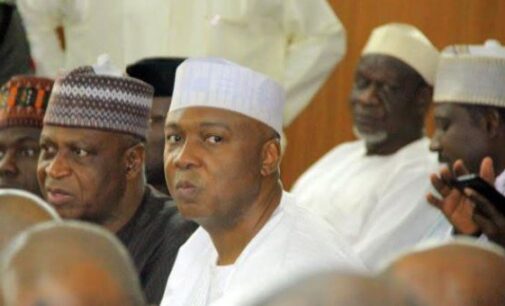 Buhari’s aide on Saraki’s CCT victory: Our head is bruised but unbowed