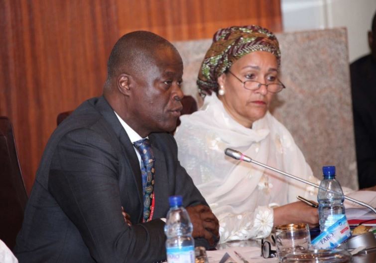 Wale Edun and Amina Mohammed