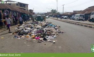 Cholera in Kwara: An environmentalist’s perspective