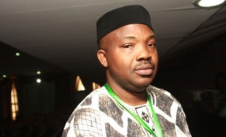 Afenifere: We will support any party committed to restructuring in 2019