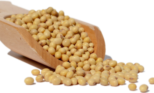 Eat Me: Six reasons to include soya bean in your diet