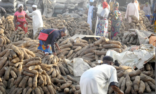 Ogbeh: Export of yam to UK, US won’t lead to scarcity