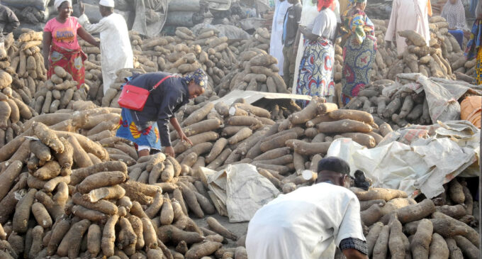 Ogbeh: Export of yam to UK, US won’t lead to scarcity